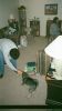 Filename=008_8.JPG
Filesize=476KB
Dimensions=864x1536
Date added=Mar 03, 2005 008_8.JPG