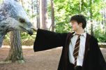 Filename=Harry Potter and the Prisoner of Azkaban B.jpg
Filesize=31KB
Dimensions=400x263
Date added=Feb 27, 2005 Harry Potter and the Prisoner of Azkaban B.jpg